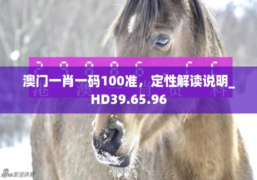 澳门一肖一码100准，定性解读说明_HD39.65.96