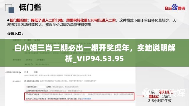 白小姐三肖三期必出一期开奖虎年，实地说明解析_VIP94.53.95