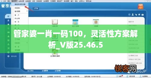 管家婆一肖一码100，灵活性方案解析_V版25.46.5