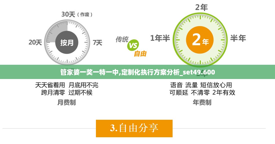 管家婆一奖一特一中,定制化执行方案分析_set49.600