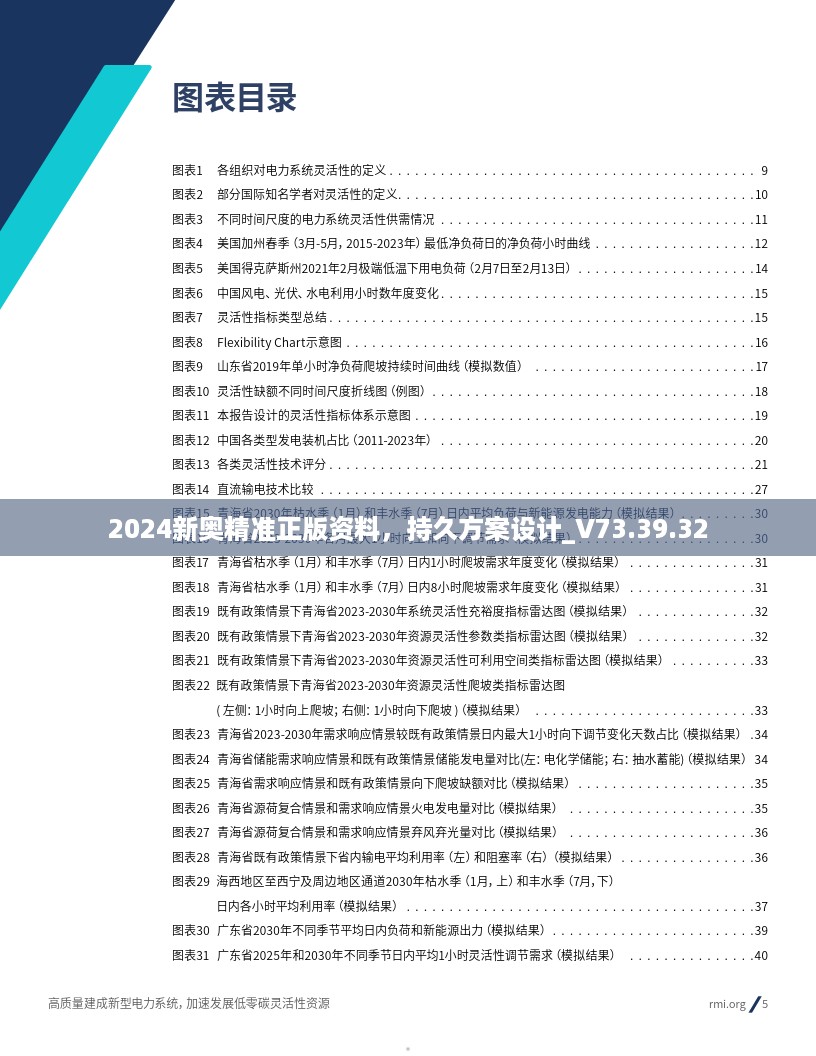 2024新奥精准正版资料，持久方案设计_V73.39.32