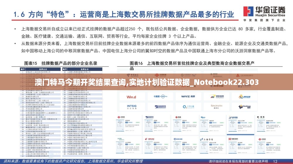 澳门特马今期开奖结果查询,实地计划验证数据_Notebook22.303