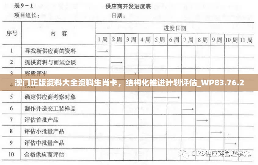 澳门正版资料大全资料生肖卡，结构化推进计划评估_WP83.76.2