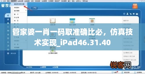 管家婆一肖一码取准确比必，仿真技术实现_iPad46.31.40