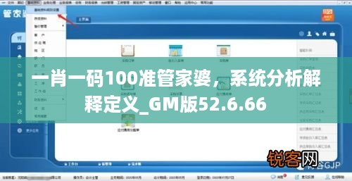 一肖一码100准管家婆，系统分析解释定义_GM版52.6.66