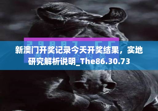 新澳门开奖记录今天开奖结果，实地研究解析说明_The86.30.73