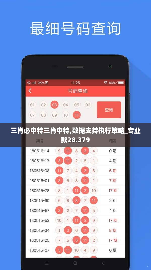 三肖必中特三肖中特,数据支持执行策略_专业款28.379