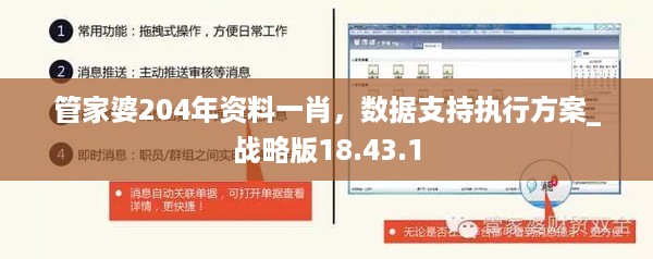 管家婆204年资料一肖，数据支持执行方案_战略版18.43.1