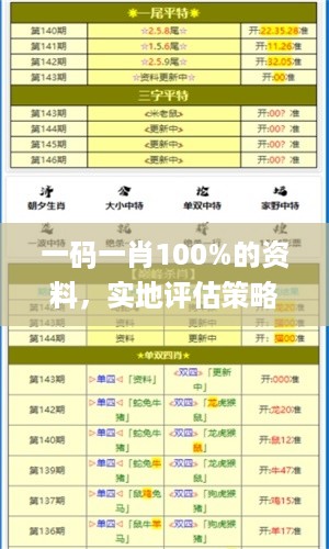 一码一肖100%的资料，实地评估策略_战略版41.21.45