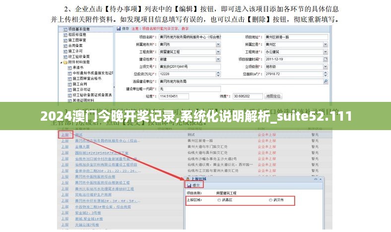 2024澳门今晚开奖记录,系统化说明解析_suite52.111