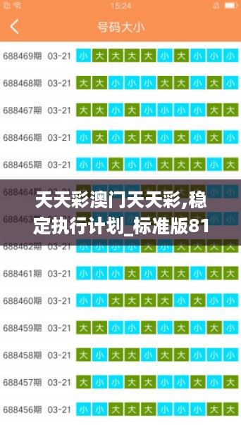 天天彩澳门天天彩,稳定执行计划_标准版81.656