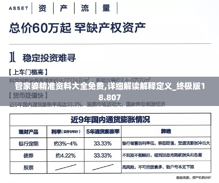 管家婆精准资料大全免费,详细解读解释定义_终极版18.807