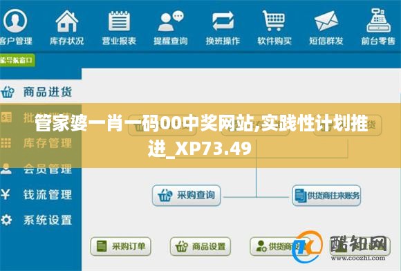 管家婆一肖一码00中奖网站,实践性计划推进_XP73.49