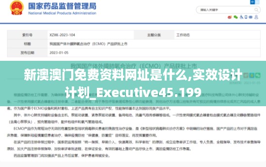 新澳澳门免费资料网址是什么,实效设计计划_Executive45.199