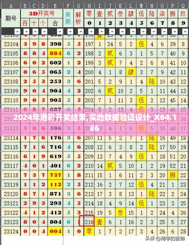 2024年港彩开奖结果,实地数据验证设计_X64.186