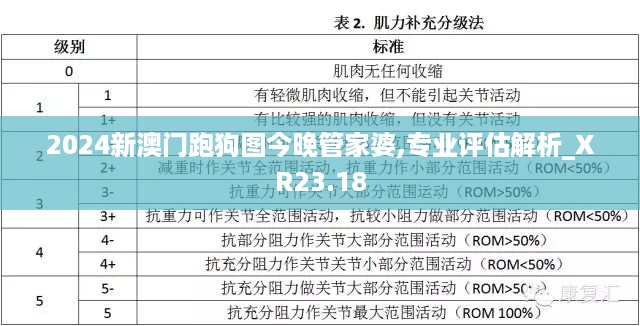 2024新澳门跑狗图今晚管家婆,专业评估解析_XR23.18