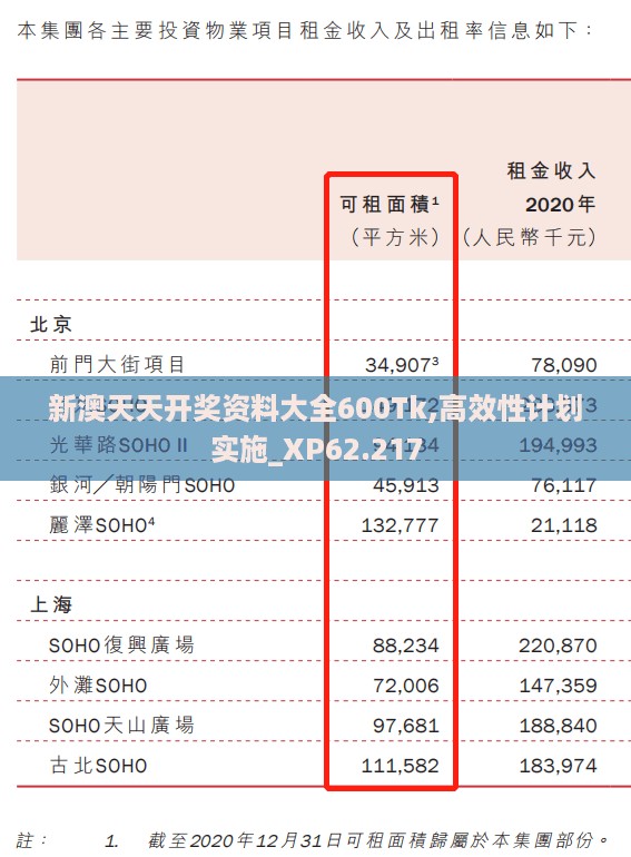 新澳天天开奖资料大全600Tk,高效性计划实施_XP62.217