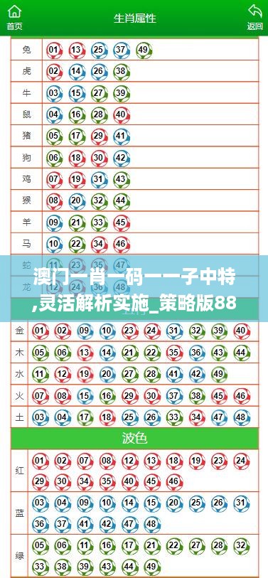 澳门一肖一码一一子中特,灵活解析实施_策略版88.562