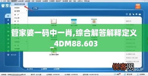 管家婆一码中一肖,综合解答解释定义_4DM88.603