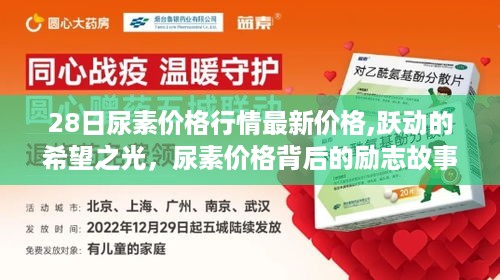 尿素市场最新动态，价格背后的励志故事与跃动的希望之光