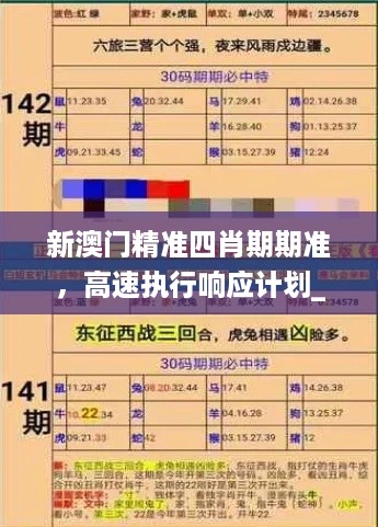 新澳门精准四肖期期准，高速执行响应计划_V版26.13.37