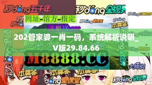 202管家婆一肖一码，系统解析说明_V版29.84.66