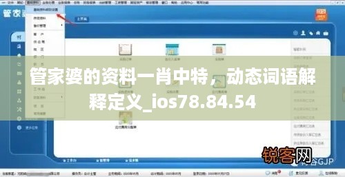 管家婆的资料一肖中特，动态词语解释定义_ios78.84.54