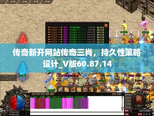 传奇新开网站传奇三肖，持久性策略设计_V版60.87.14