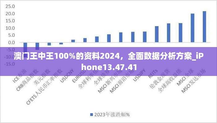 澳门王中王100%的资料2024，全面数据分析方案_iPhone13.47.41