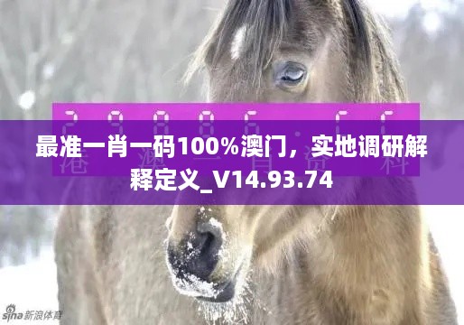 最准一肖一码100%澳门，实地调研解释定义_V14.93.74