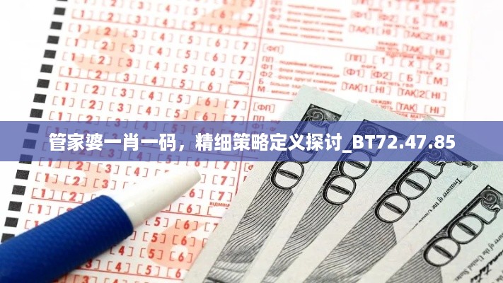 管家婆一肖一码，精细策略定义探讨_BT72.47.85