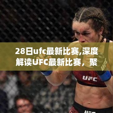 UFC最新比赛深度解析，聚焦28日对决，探寻胜负之道