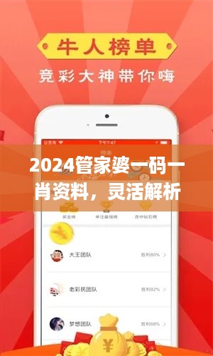 2024管家婆一码一肖资料，灵活解析设计_WP95.24.99