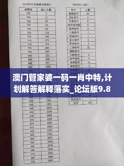 澳门管家婆一码一肖中特,计划解答解释落实_论坛版9.825