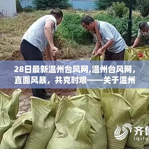 温州台风网最新动态观察与反思，直面风暴，共克时艰