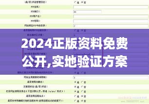 2024正版资料免费公开,实地验证方案策略_精细版4.703