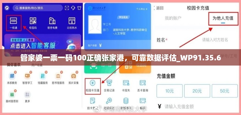 管家婆一票一码100正确张家港，可靠数据评估_WP91.35.6