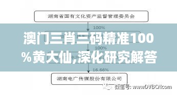 澳门三肖三码精准100%黄大仙,深化研究解答解释路径_播音版2.572