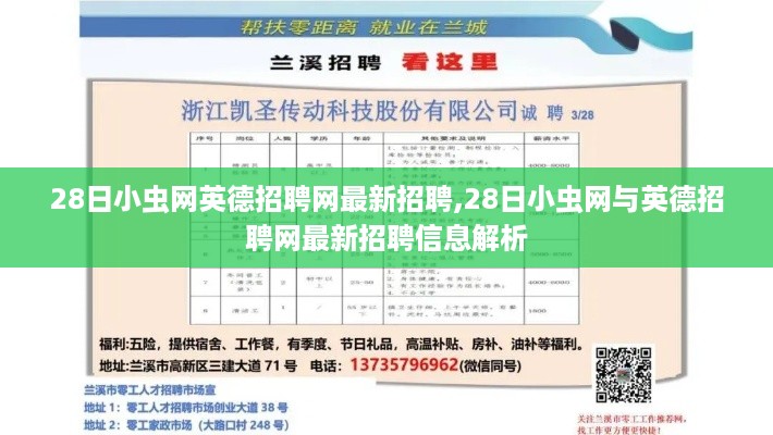 28日小虫网与英德招聘网最新招聘信息汇总解析