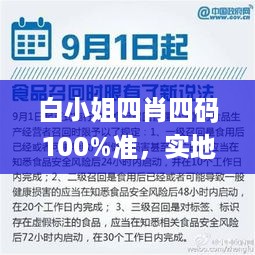 白小姐四肖四码100%准，实地验证方案_战略版8.19.31