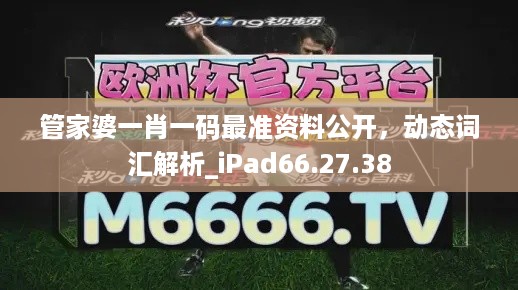 管家婆一肖一码最准资料公开，动态词汇解析_iPad66.27.38