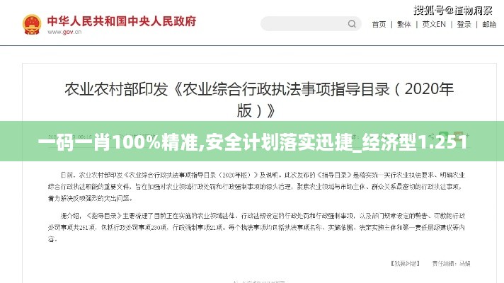 一码一肖100%精准,安全计划落实迅捷_经济型1.251