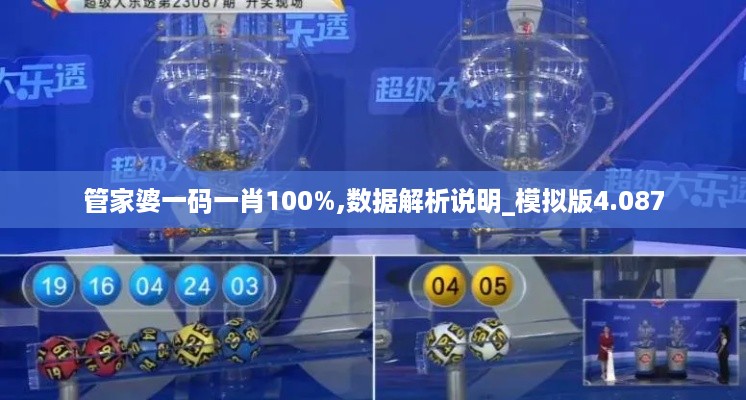 管家婆一码一肖100%,数据解析说明_模拟版4.087