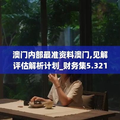 澳门内部最准资料澳门,见解评估解析计划_财务集5.321