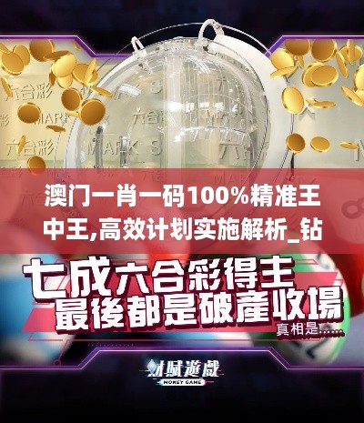 澳门一肖一码100%精准王中王,高效计划实施解析_钻石型2.748