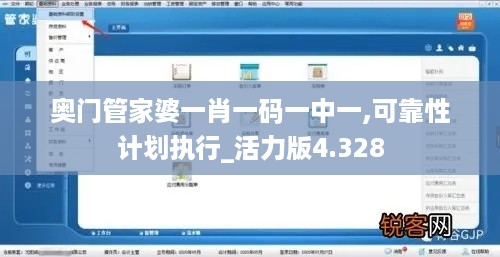 奥门管家婆一肖一码一中一,可靠性计划执行_活力版4.328