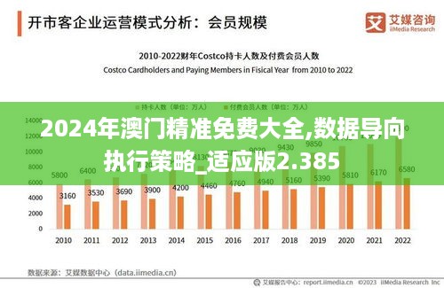 2024年澳门精准免费大全,数据导向执行策略_适应版2.385