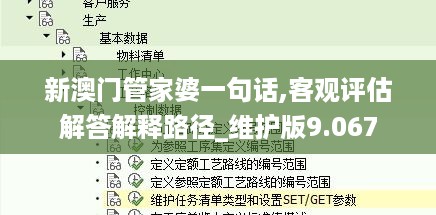 新澳门管家婆一句话,客观评估解答解释路径_维护版9.067