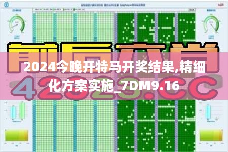 2024今晚开特马开奖结果,精细化方案实施_7DM9.16