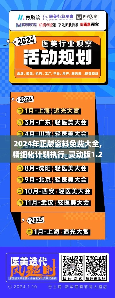 2024年正版资料免费大全,精细化计划执行_灵动版1.227